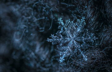 Прогноз погоди: коли в Україні піде сніг