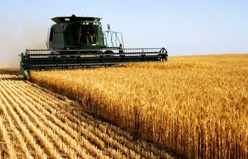 15 ноября отмечаем День работников сельского хозяйства 15 ноября отмечаем День работников сельского хозяйства