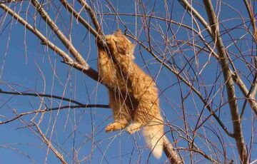 Прогноз для України: погода радує теплом