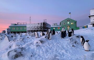 Исследование Национального антарктического научного центра: что нашли в составе клеток морских животных Исследование Национального антарктического научного центра: что нашли в составе клеток морских животных