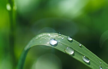 Прогноз погоди в Україні: де пройдуть дощі