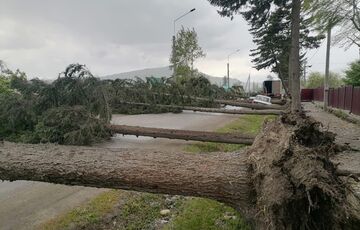 На Алтае ураганный ветер сдул зернохранилище - ВИДЕО
