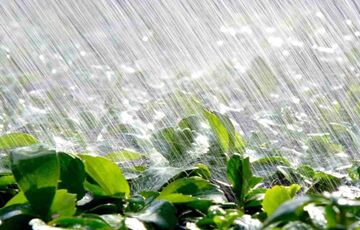 Украину сегодня будут заливать дожди