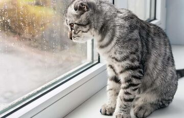 Україну накрило похолодання: прогноз погоди на сьогодні