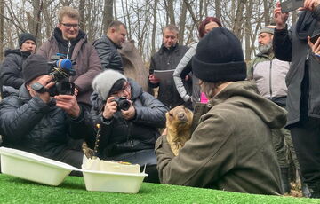 Сурок Тимка дал прогноз, когда в Украину придет весна Сурок Тимка дал прогноз, когда в Украину придет весна