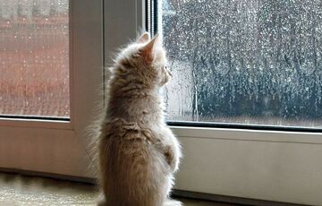 Погода в Україні: хто зможе погрітися на сонечку