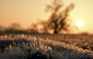За два дні до Нового року Україну накрило потепління