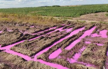 Розовые лужи возле Ровно: результаты расследования - ВИДЕО Розовые лужи возле Ровно: результаты расследования - ВИДЕО