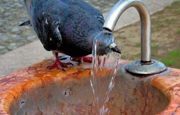 Погода в Україні: де спека посилиться ще більше