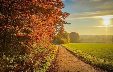 Температура выше нормы: синоптики рассказали, какой будет погода в октябре 