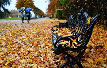 Прогноз погоды на выходные: где пройдут дожди Прогноз погоды на выходные: где пройдут дожди