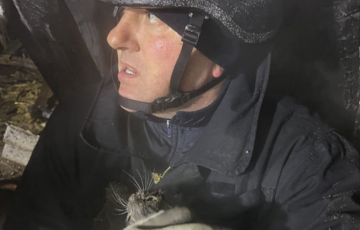 У Чернігівській області після російської атаки врятували кота