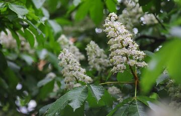 Прогноз на вихідні: в Україну прийшло похолодання