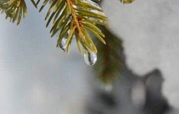 Прогноз погоди: в Україну повернулося тепло