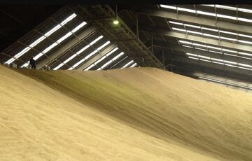 Bloomberg: Египет хочет купить у России 1 миллион тонн пшеницы  Bloomberg: Египет хочет купить у России 1 миллион тонн пшеницы