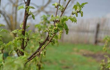 Попередження синоптиків: на Україну насуваються грози