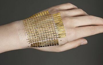 Создана искусственная кожа, превращающая солдат ”невидимыми” на поле боя, - ФОТО