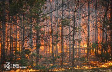 В Донецкой области ликвидировали масштабный лесной пожар В Донецкой области ликвидировали масштабный лесной пожар