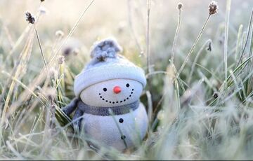 Какой будет погода в Украине зимой