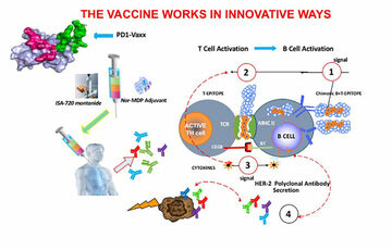 В США начали испытания препарата от рака