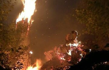 На кордоні зі Словаччиною спалахнула лісова пожежа На кордоні зі Словаччиною спалахнула лісова пожежа