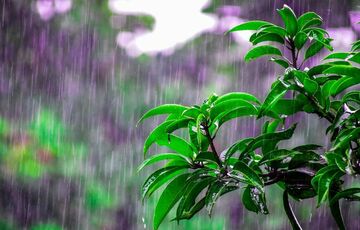 Синоптик спрогнозировала, когда в Украину придет потепление