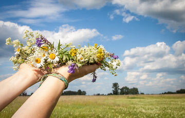 Спека посилюється: прогноз погоди в Україні