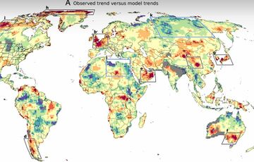Изменения климата: на Земле появляются участки с рекордной жарой, она провоцирует пожары и гибель людей