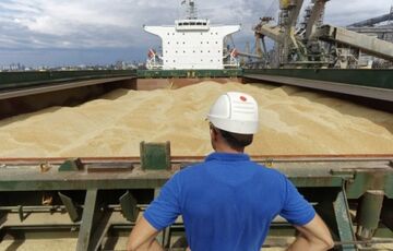 Завдяки звільненню Зміїного Україна зможе експортувати зерно через гирло Дунаю  Завдяки звільненню Зміїного Україна зможе експортувати зерно через гирло Дунаю
