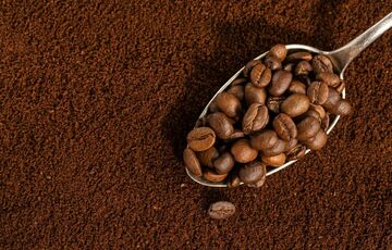 Из-за изменения климата сорт кофе робуста может вытеснить арабику