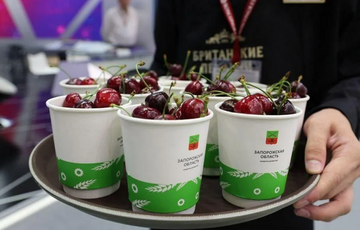 На путінському форумі в Санкт-Петербурзі пригощали вкраденою в Україні черешнею
