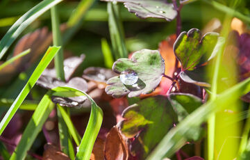 Чи не час ховати парасольки: прогноз погоди в Україні