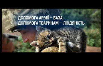 UAnimals запустили благотворительную инициативу ”Непоследний звонок”