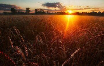Стає тепліше: синоптики обіцяють підвищення температури