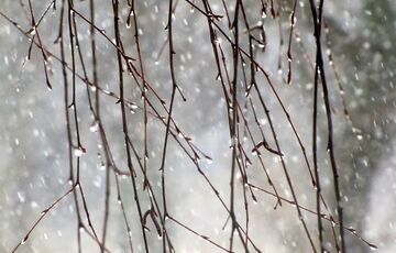 Погода 4 січня: де в Україні підуть дощі