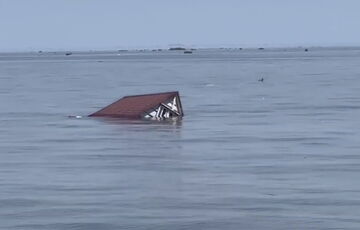 Море перетворюється на звалище і цвинтар тварин, починається мор риби: показали наслідки екоциду