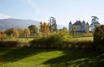 ”Схеми” знайшли у Коломойського замок 15 століття у Франції