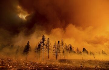 В 2024 Земля потеряла рекордную площадь тропических лесов из-за пожаров, вызванных изменением климата