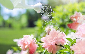 Прогноз погоди: де посилиться спека