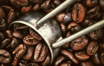 Ціни на каву досягли 50-річного рекорду