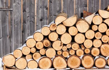 В Минэкологии рассказали, сколько дров нужно украинцам на зиму