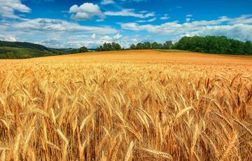 Неспекотні вихідні: прогноз погоди на суботу