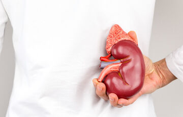 Самый большой в мире камень в почке удалили пациенту со Шри-Ланки, его внесли в Книгу рекордов Гиннеса