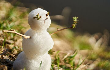 Январь закончится весенним теплом: местами будет 17 градусов