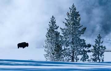 Ледники по всему миру исчезнут через несколько десятилетий: список локаций, где растает снег