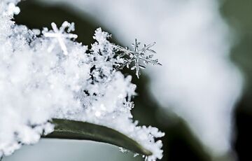 Прогноз на 18 лютого: де в Україні зіпсується погода