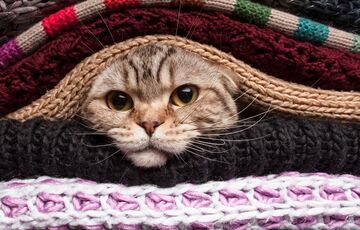 Шмигаль посоветовал украинцам, как подготовиться к зиме