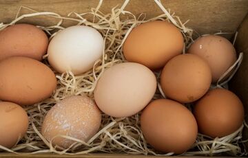 Цены на яйца в Украине будут повышаться: в чем причина