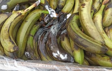 Военных на востоке кормят некачественными продуктами и с задержками: что показала проверка МО Военных на востоке кормят некачественными продуктами и с задержками: что показала проверка МО