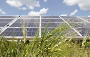 Трифонівська сонячна електростанція відновила роботу після російської окупації